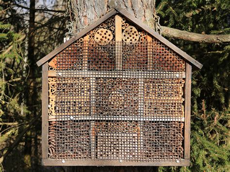 native bee house metal roof|How to Build a Native Bee Hotel .